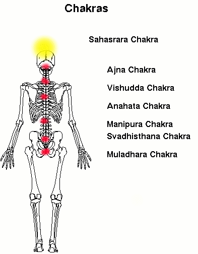 Chakra Positionen - Lagen der Chakren in der menschlichen Anatomie
