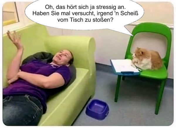 Katzen-Therapie