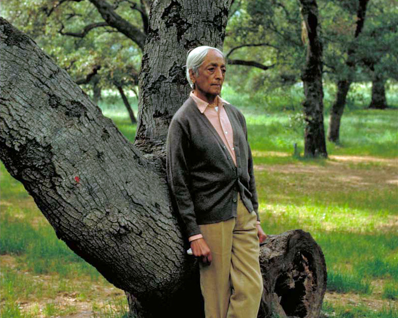 Krishnamurti allein in der Natur