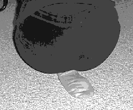 Maha Mudra