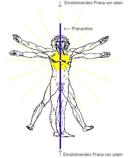 einheitsatmung nach sri yukteswar - pranaröhre