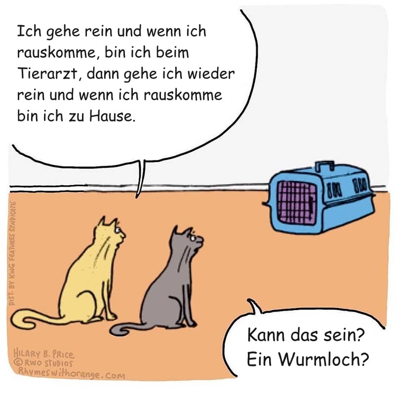 Katzen-Wurmloch