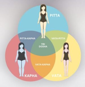 Die Ayurveda-Typen: Vata, Pitta, Kapha
