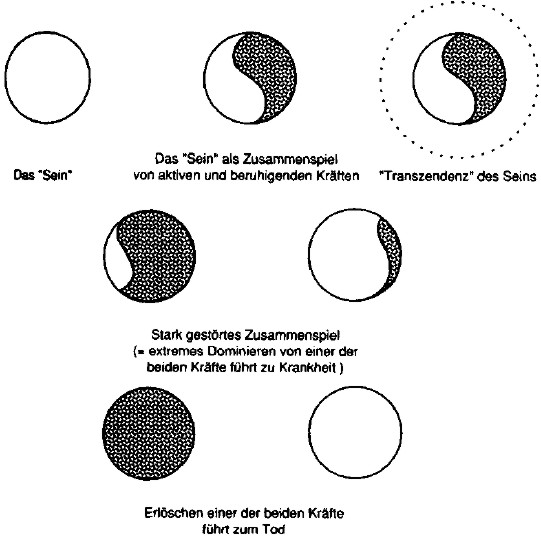 Zusammenspiel aktiver und beruhigender Kräfte