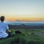 Vipassana-Meditation: Die Kunst zu leben