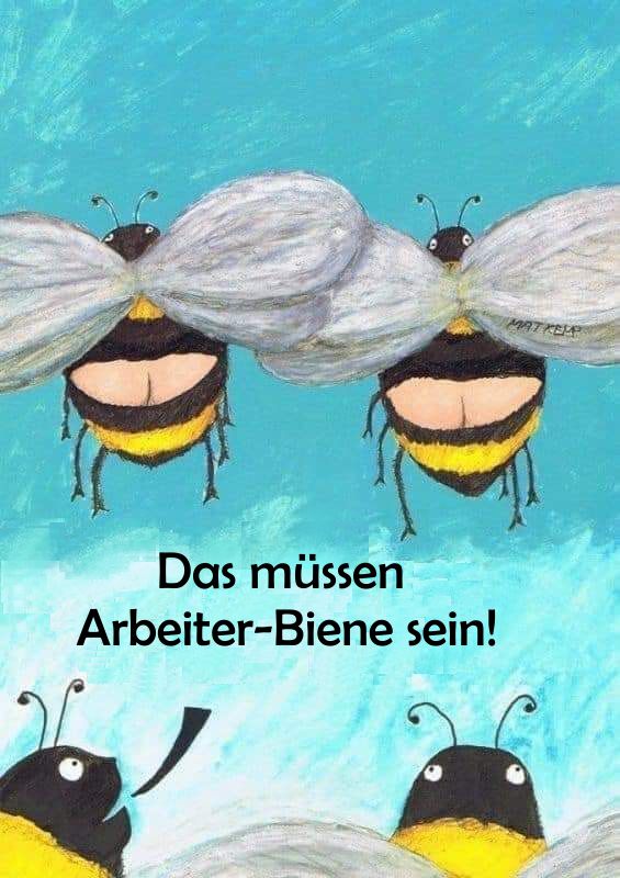 Arbeiterbienen