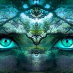 QIE – Quantensprung ins Erwachen