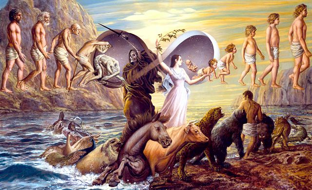 Homo Sapiens Ethicus – Leben, Tod, Reinkarnation und Aufstieg