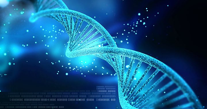Gentechnische Verfahren zur Manipulation der menschlichen DNA