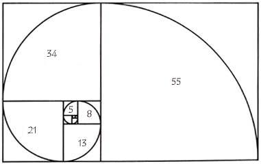 Fibonacci-Formel zur 55 Umkehrung