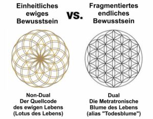 Metatronische Umkehrung