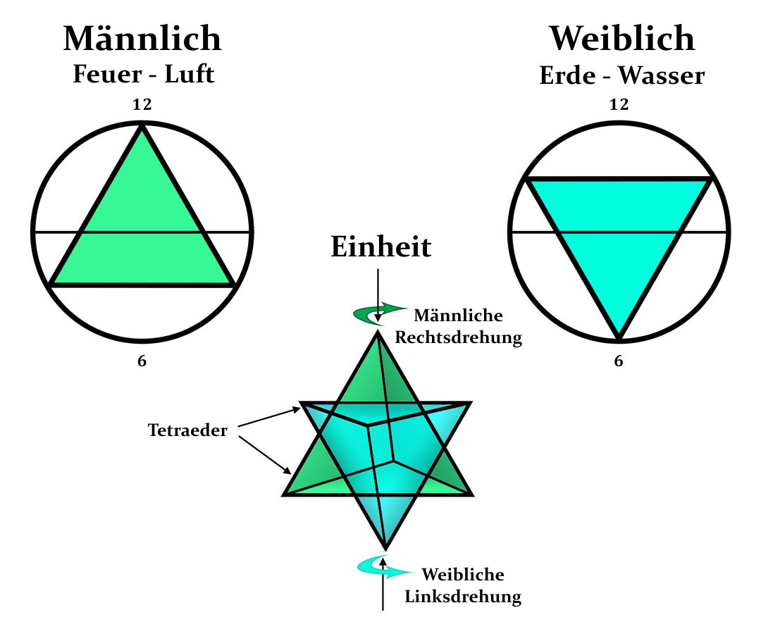 Merkaba-mämmlich-weiblich