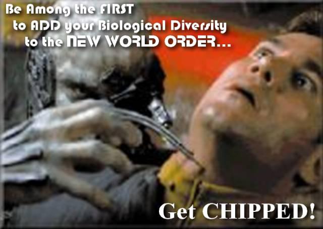 get chipped