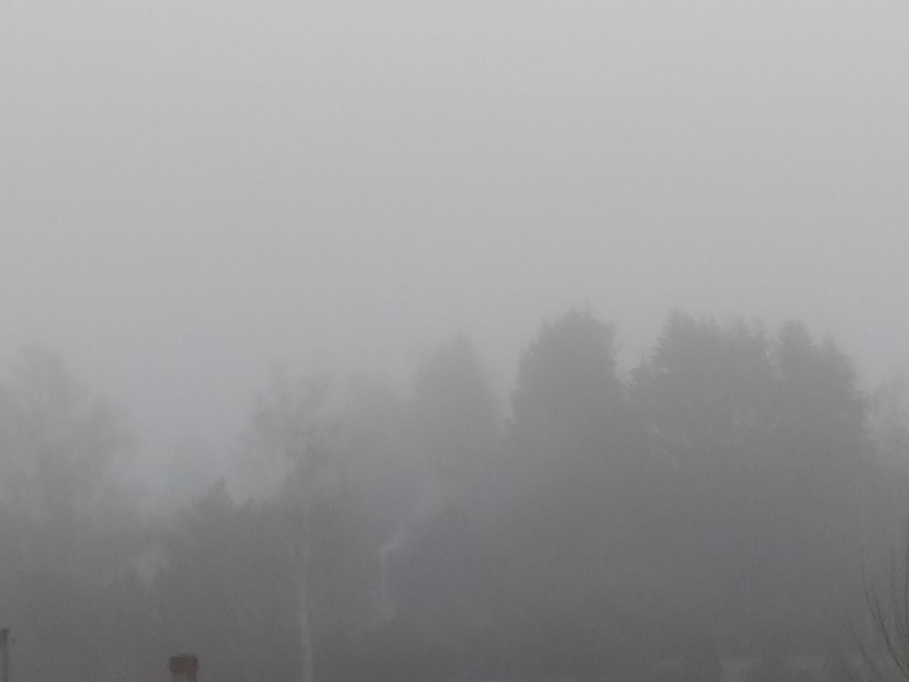 Nebel