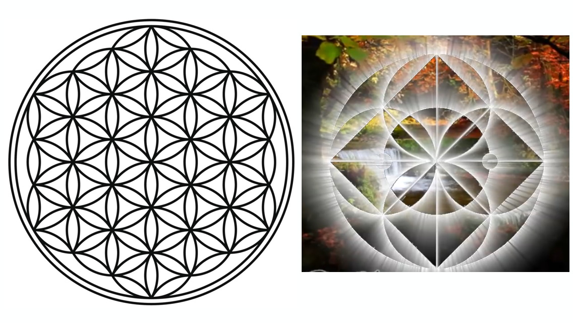 flower of life