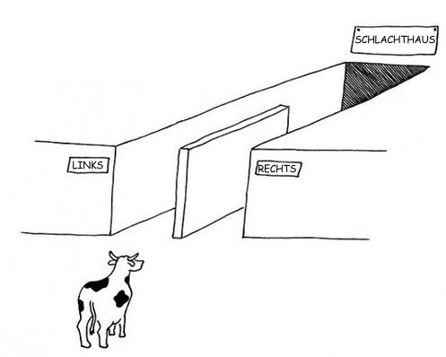 Illusion der Wahl