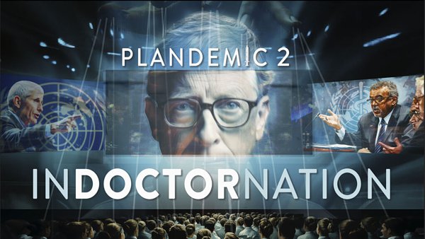 Plandemic Teil 2