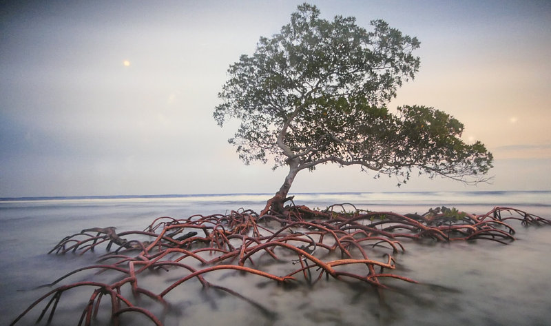 nicht reale menschen 12