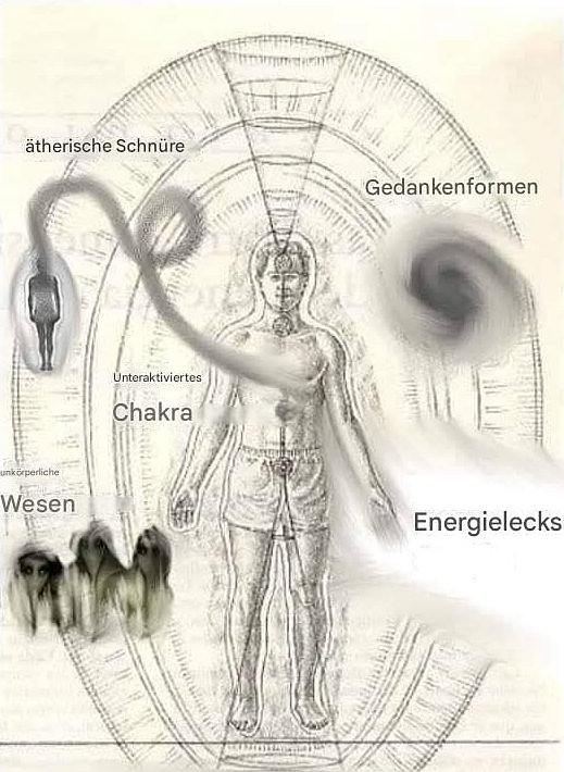 Parasiten-Einflüsse