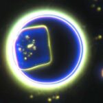 protocell