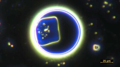 Synthetische DNA- und RNA-basierte selbstassemblierende Nanotechnologie in den COVID-19-Impfungen