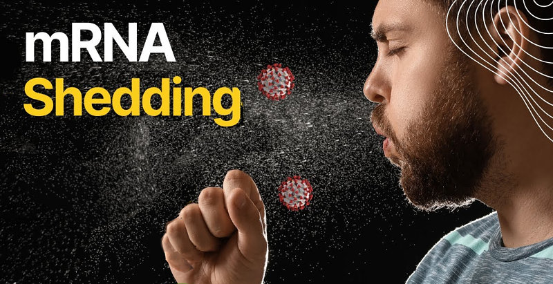 mRNA-Shedding